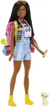 Mattel, кукла Барби в кемпинге Brooklyn с аксессуарами Barbie Entertainment