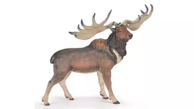 Мегалоцерос