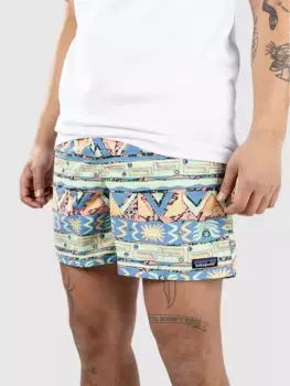 Мешки – 5 дюймов. шорты Patagonia, зеленый