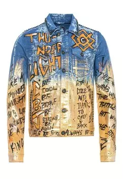 Межсезонная куртка Cipo & Baxx, синий