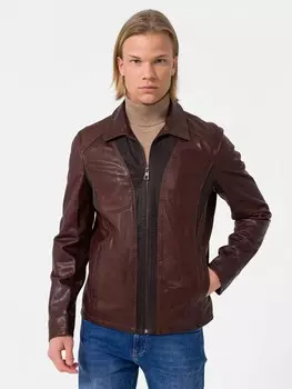 Межсезонная куртка Dandalo, коричневый