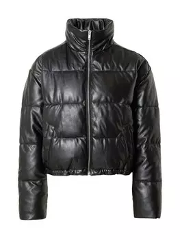 Межсезонная куртка HOLLISTER, черный