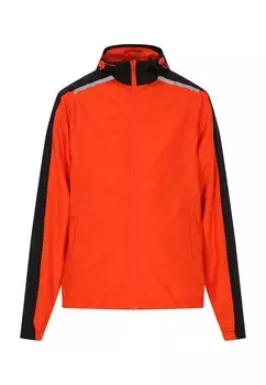 Межсезонная куртка hoona, цвет Lobster