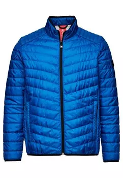 Межсезонная куртка New Canadian, синий