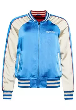 Межсезонная куртка Superdry, синий