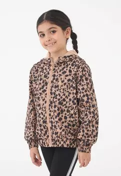 Межсезонная куртка Terranova, бежевый