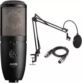 Микрофон AKG P420-DSKSTDPOPCBL
