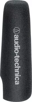Микрофон Audio-Technica AT8024