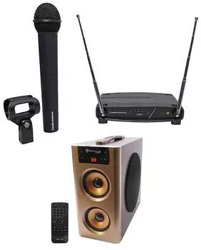 Микрофон Audio-Technica ATW-902a+RHB70