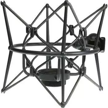 Микрофон Neumann EA 2