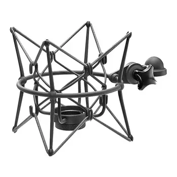 Микрофон Neumann EA 2 mt