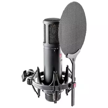Микрофон sE Electronics sE2200 Large Diaphragm Cardioid Condenser Microphone