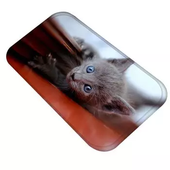 Милый котенок, рождественский мягкий домашний противоскользящий коврик для входа, коврик для ванной комнаты, коврик-3 # Stuttg, мультиколор