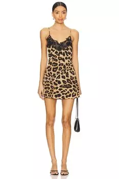 Мини-платье Jennie Superdown, leopard