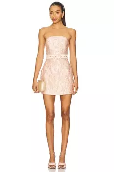Мини-платье Molli от Lovers And Friends, light pink