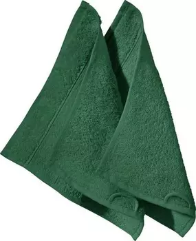 Мини-полотенца Erwin Mller 2er-Pack 35446, 30x1x30 см цвет tanne