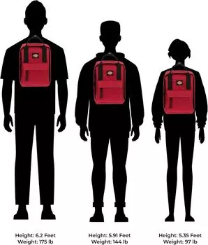 Мини-рюкзак Dickies Brooklyn, небольшая сумка-рюкзак для мужчин и женщин, дорожная сумка для книг на плече (Bloodstone)