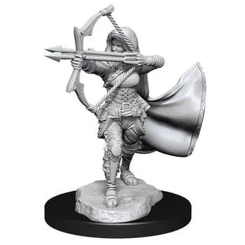 Миниатюра Wizkids Dungeons & Dragons: Nolzur's Marvelous Unpainted Miniatures - W15 Female Air Genasi