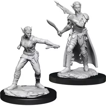 Миниатюра WizKids/NECA D&D Nolzur's Marvelous Unpainted Minis: W13 Female Shifter Rogue