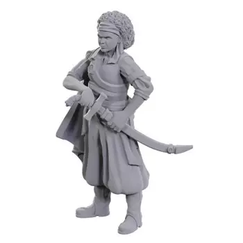 Миниатюра WizKids/NECA D&D Nolzur's Marvelous Unpainted Minis: W23 Ansalon Human Rogue