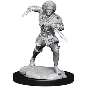 Миниатюра WizKids/NECA Magic Unpainted Minis: W2 Kaya