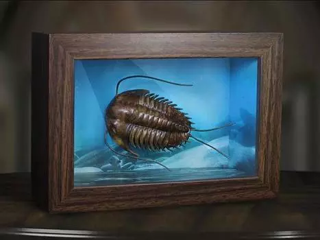 Миниатюрная рамка «Чудеса диких трилобитов» с копией в масштабе 1/1 (обычная версия) X-Plus