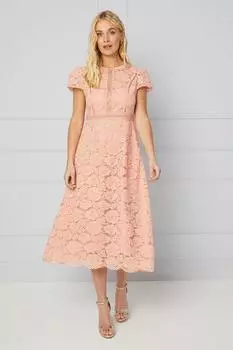 Миниатюрное кружевное платье-миди с расклешенным кроем Wallis, оранжевый