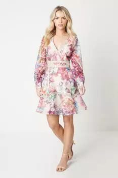 Миниатюрное платье из органзы с V-образным вырезом и длинными рукавами Petite Coast, мультиколор
