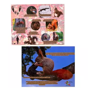 Мир белки, деревянный пазл, лесное образование, интересные факты о белках. Inna marka