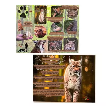 Мир рыси, деревянный пазл, лесное образование, интересные факты о рыси. Inna marka