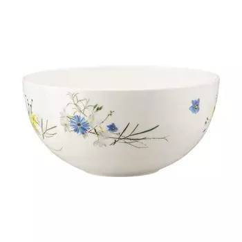 Миска Brillance Fleurs des Alpes 2,50 л / 22 см Rosenthal, красочный