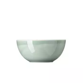 Миска Daily Moss Green 21 см Thomas, зеленый