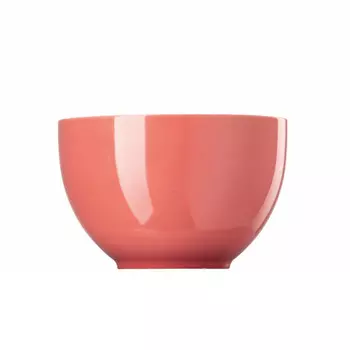 Миска для хлопьев Sunny Day Soft Red, 12 см Thomas, бело-красный