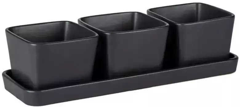 Миска WENKO "Snack & Dip", 3 шт., керамика, 0,3 л. Включает поднос В/7х30,5 см, черный