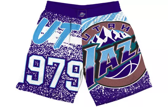 Mitchell Ness Баскетбольные шорты Mitchell & Ness унисекс фиолетовые