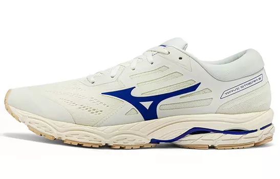 Mizuno Stream Кроссовки Мужчины