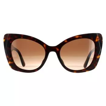 Модный темно-коричневый градиент Гаваны DG4405F Dolce & Gabbana, коричневый