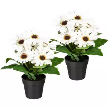 Мое домашнее искусственное растение «Элейн», в горшке, набор из 2 шт My Home, белый