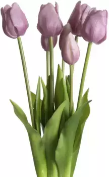 Мое домашнее искусственное растение "Майва", пучки тюльпанов в наборе из 7 штук My home 20х47 см, цвет lavendel