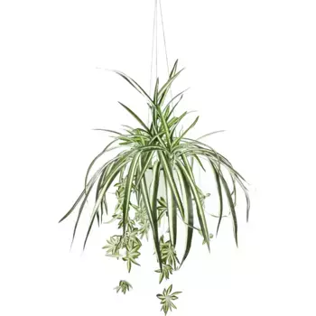 Мое домашнее искусственное растение «зеленая лилия», с подвесной лампой, искусственная кувшинка My Home, зеленый/белый