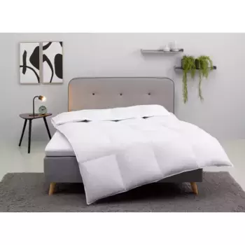 Мое домашнее пуховое одеяло "Cavanelle, пуховое одеяло размером 135х200 см и 155х220 см", нормальное, наполнитель пух и перо, чехол 100% хлопок, (1 шт.), пуховые одеяла, лето, зима, одеяло, производство Германия, Downpass My Home, белый