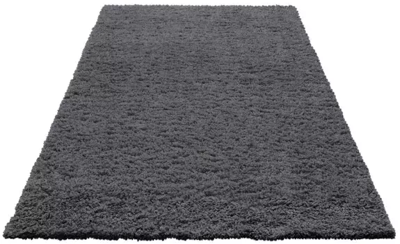Мохнатый ковер для дома "Viva", прямоугольный, однотонный, монохромный, особенно мягкий и приятный Home affaire 160х230 см