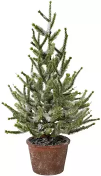 Мой дом Искусственная елка "Елочные украшения, искусственная елка, елка", ель со снегом My home Высота: 65 см, до, зеленый/белый