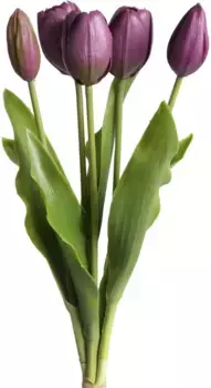 Мой домашний искусственный цветок "Пакет тюльпанов Holland Real Touch" My home /10х35 см, цвет aubergine