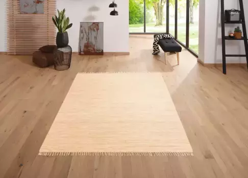 Мой домашний ковер "Ares", прямоугольный, однотонный, ручная работа, с бахромой My home 60х120 см, бежевый