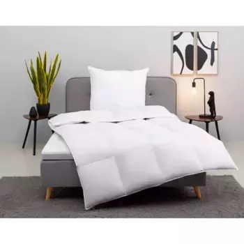 Мой домашний пуховое одеяло + подушка "Cavanelle duvet 135х200 см, 155х220 см", (экономный комплект), комплект с подушкой 80х80 см, лето, зима, производство Германия My Home, белый