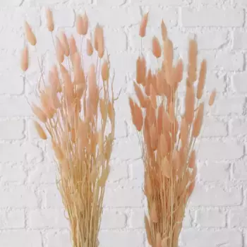 Мой домашний сухоцвет "Фели", бархатная трава, набор из 2 шт My home 60 см, розовый