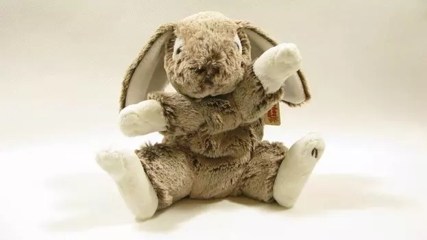 Molli Toys, талисман кролика