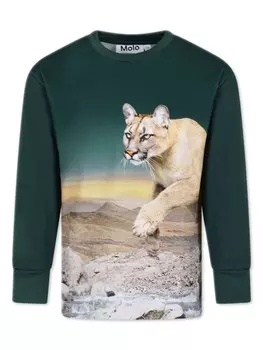 Molo футболка из органического хлопка с графичным принтом, зеленый