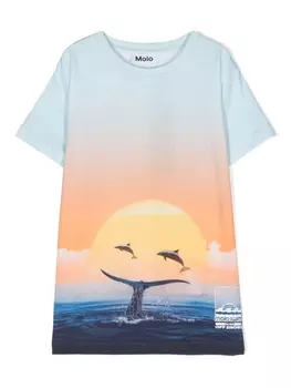 Molo футболка Raul из органического хлопка, синий